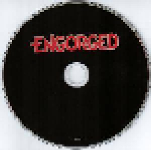 Engorged: Engorged (CD) - Bild 3