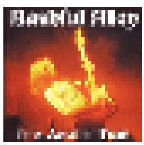 Bashful Alley: It's About Time (CD) - Bild 1
