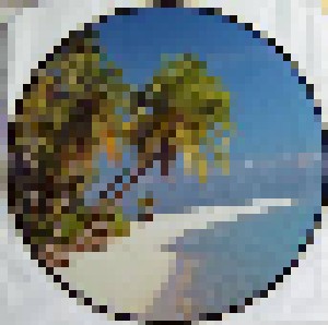 Tropical Hits (PIC-LP) - Bild 3