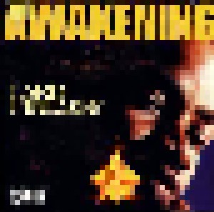 Cover - Lord Finesse: Awakening, The