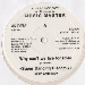 Mike Anthony: Why Can't We Live Together (Promo-12") - Bild 2