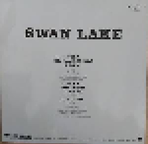 Swan Lake: The Name Of Love / The Dream (12") - Bild 2