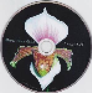 Carly Simon: Never Been Gone (CD) - Bild 5