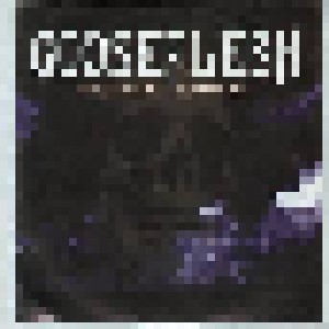 Gooseflesh: Welcome To Suffer Age (Promo-Mini-CD / EP) - Bild 1
