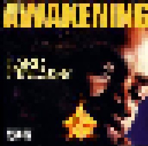 Lord Finesse: The Awakening (2-LP) - Bild 1