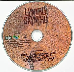 Lynyrd Skynyrd: Lyve From Steel Town (2-CD) - Bild 5