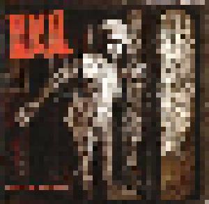 Billy Idol: Devil's Playground - Cover