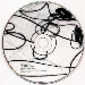 Sonic Youth: Experimental Jet Set, Trash And No Star (CD) - Bild 8
