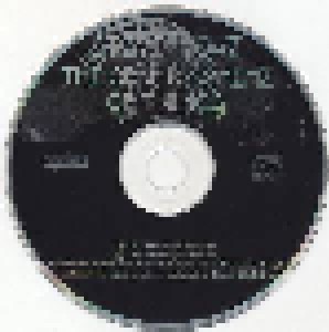 Steve Howe: The Grand Scheme Of Things (CD) - Bild 4