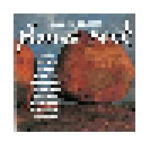 Cover - Steve Plunkett: Planet Rock