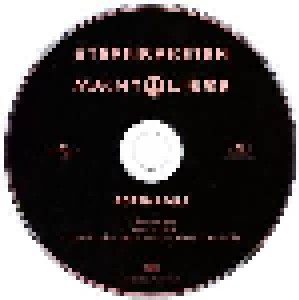 Rosenstolz: Sternraketen / Macht Liebe (Promo-Single-CD) - Bild 3