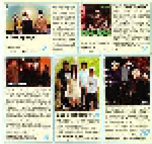 Japan Nite Sound Sampler 2009: Musical Madness From Japan (Promo-CD) - Bild 4