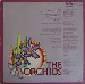 The Orchids: The Orchids (LP) - Bild 2
