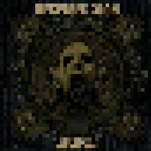 Despised Icon: The Ills Of Modern Man (LP) - Bild 1