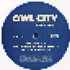 Owl City: Ocean Eyes (2-LP) - Bild 7