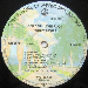 Gordon Lightfoot: Endless Wire (LP) - Bild 4