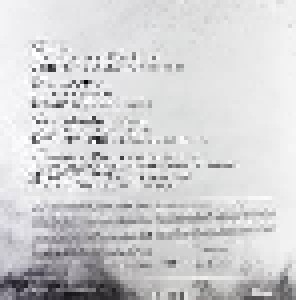 Tarja: The Seer EP (2-12") - Bild 2