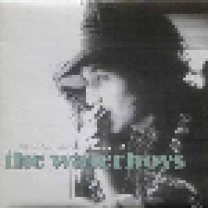 The Waterboys: The Live Adventures Of The Waterboys (3-LP) - Bild 1