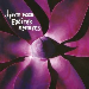 Depeche Mode: Exciter Remixes (CD) - Bild 1