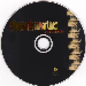 Friends Of Dean Martinez: Wichita Lineman (CD) - Bild 3