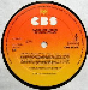 Julio Iglesias: Zärtlichkeiten (LP) - Bild 5
