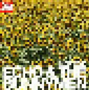 Echo & The Bunnymen, Stewart Dugdale: Echo & The Bunnymen Best Of - Cover