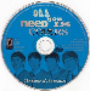 All You Need Is Covers (2-CD) - Bild 4