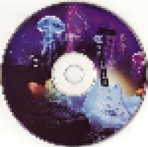 Prince + Bria Valente: Lotusflow3r (Split-3-CD) - Bild 9