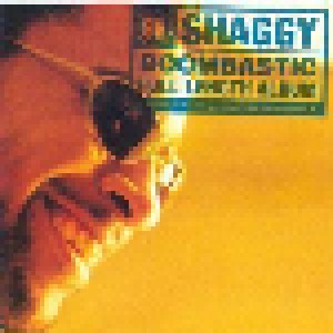 Cover - Shaggy: Boombastic