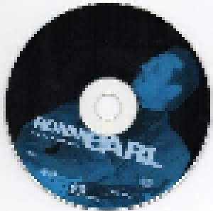 Ronnie Earl & The Broadcasters: Blues & Forgiveness (CD) - Bild 3