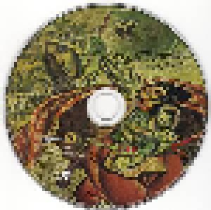 Jade Warrior: Last Autumn's Dream (CD) - Bild 3