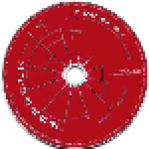 Arcadia: So Red The Rose (2-CD + DVD) - Bild 7