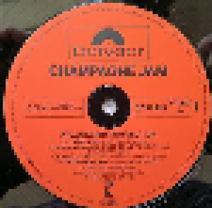 Atlanta Rhythm Section: Champagne Jam (LP) - Bild 2
