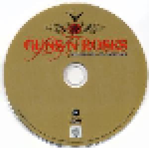 Guns N' Roses: The Riot Gig - St. Louis 1991 (DVD) - Bild 4