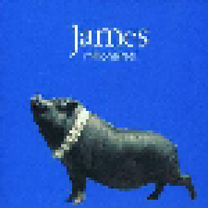 James: Millionaires (CD) - Bild 1