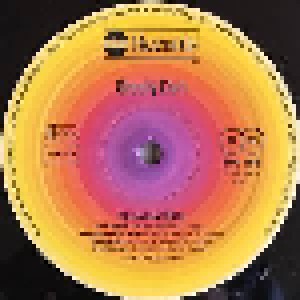 Steely Dan: Greatest Hits (2-LP) - Bild 4