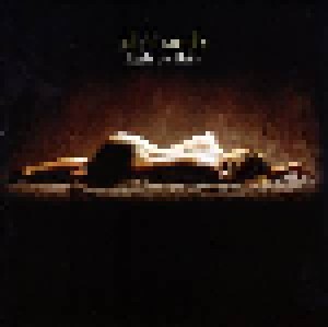 Al Di Meola: Flesh On Flesh (SACD) - Bild 1