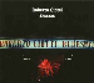 Roberto Ciotti: Bluesman (CD) - Bild 1