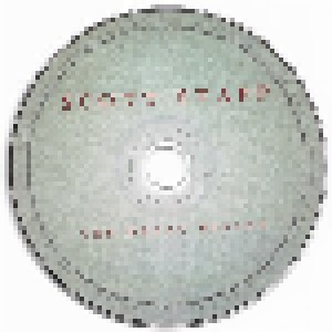 Scott Stapp: The Great Divide (CD) - Bild 3