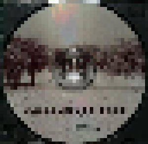 Rammstein: Verbrannte Erde (CD) - Bild 3