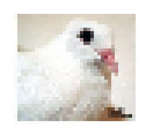 Merzbow: Peace For Animals (CD) - Bild 1
