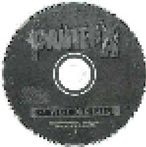 Pantera: Reinventing The Steel (CD) - Bild 3