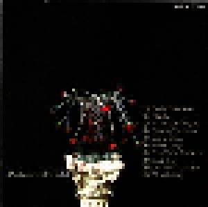 Blackthorne: Afterlife (CD) - Bild 2