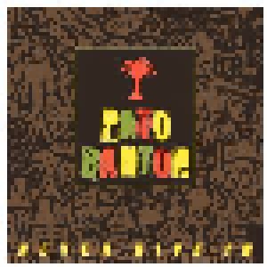 Cover - Pato Banton: Never Give In