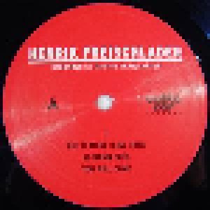 Henrik Freischlader: Recorded By Martin Meinschäfer (2-LP) - Bild 4