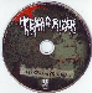 Terrorizer: Darker Days Ahead (CD) - Bild 3