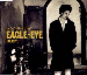 Eagle-Eye Cherry: Are You Still Having Fun? - Cover