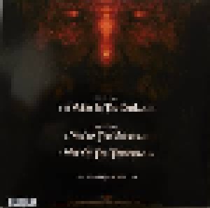 Blind Guardian: A Voice In The Dark (PIC-10") - Bild 2