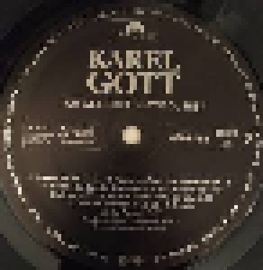 Karel Gott: Ich Will Dich So Wie Du Bist (LP) - Bild 4