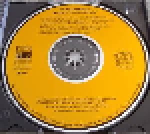 Stevie Wonder: Songs In The Key Of Life (2-CD) - Bild 7
